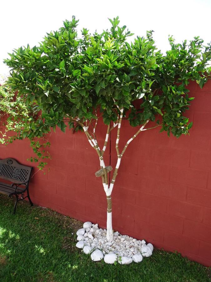 Samadhi Home Holiday home Chiclana de la Frontera
